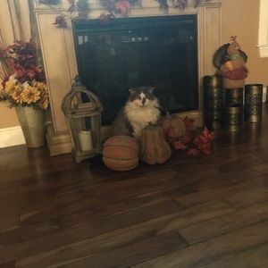 Meet your Posher, Ashlee